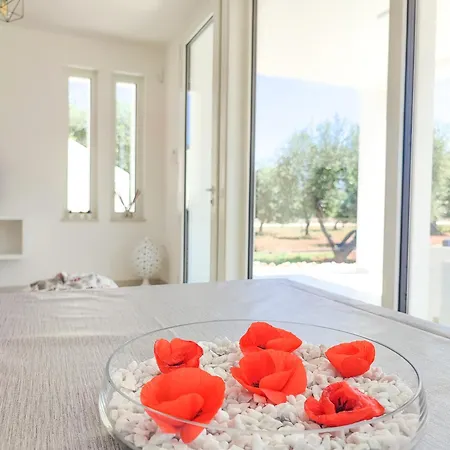 Villa Olive Trees House