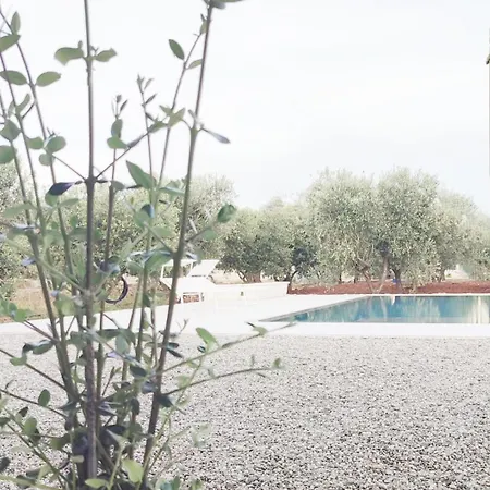 Olive Trees House * 托雷坎内